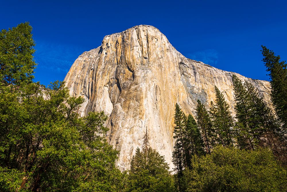 El Capitan-Yosemite Valley-Yosemite National Park-California-USA